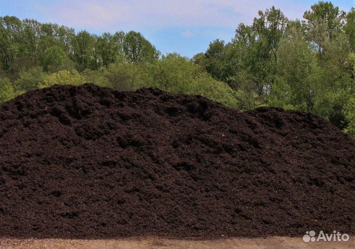 Чистая земля