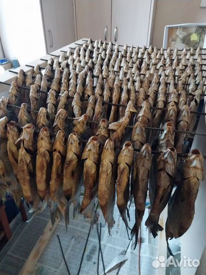 Тарань отборная Май 2024