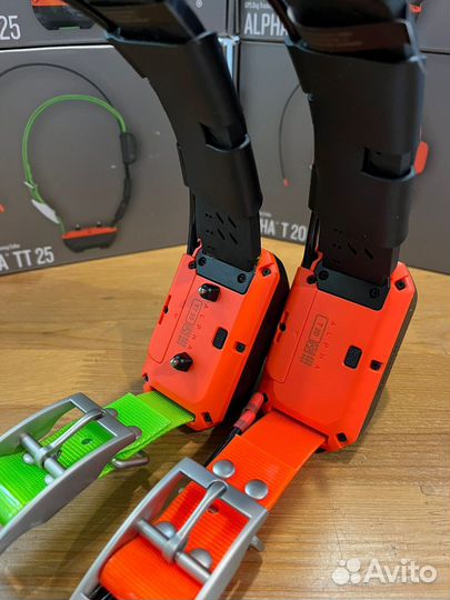 Ошейник Garmin T20 европа