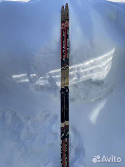 Лыжи беговые Sable Nordic Tour