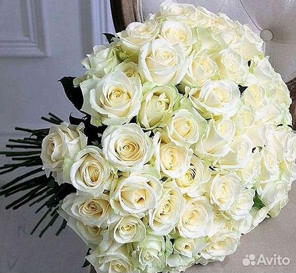 Высокие розы Гигантские розы Доставка цветов