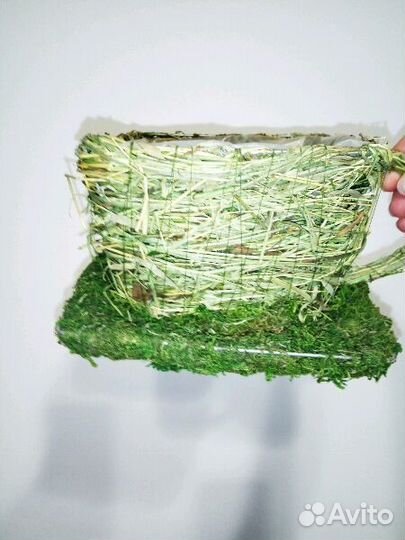 Кашпо травяное, новое