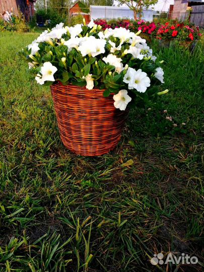 Кашпо из ротанга