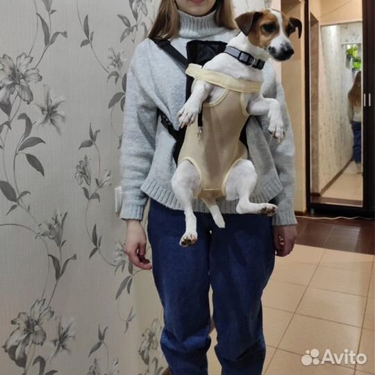 Рюкзак-переноска для собак