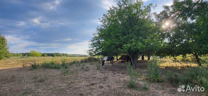 Постой для лошадей