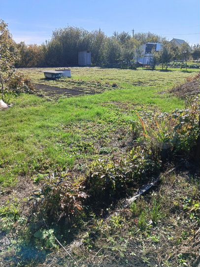 Участок 6 сот. (СНТ, ДНП)