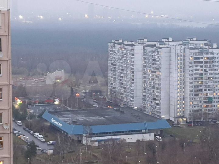 Торговая площадь, 650.8 м²