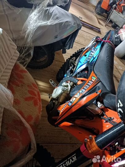 Progasi rase 300 ему 5 месяцев