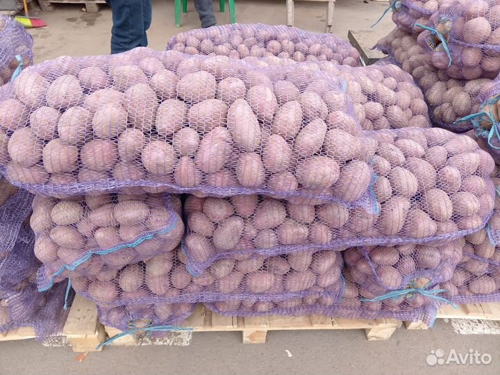 Продам картофель оптом