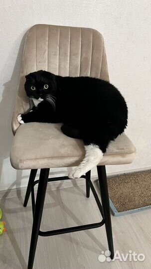 Барный стул