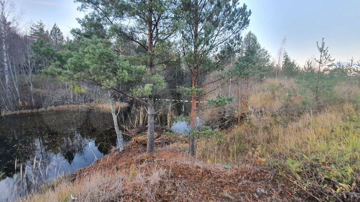 Участок 40 сот. (СНТ, ДНП)