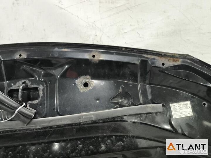 Капот toyota corolla fielder