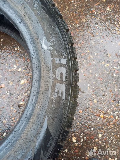Formula Ice 195/55 R15 85T