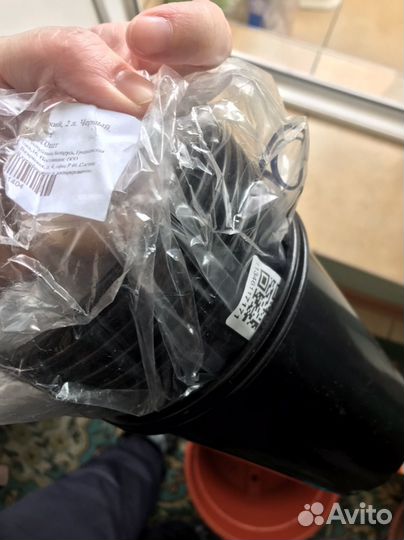 Горшки и кашпо для цветов