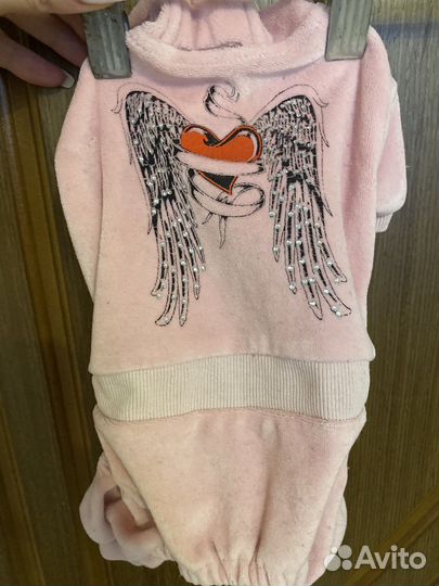 Одежда для собак мелких пород