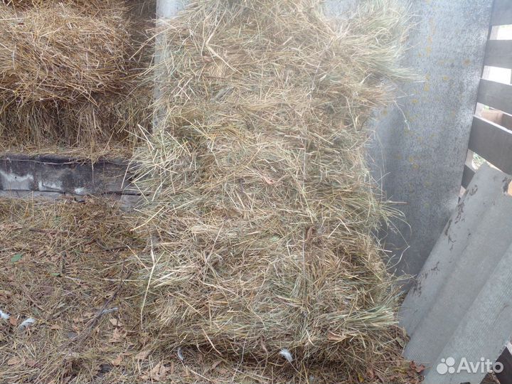 Сено в тюках