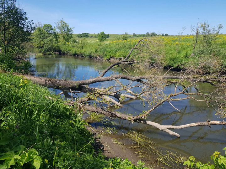 Участок 400 га (СНТ, ДНП)