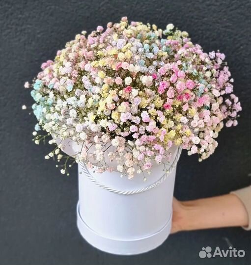 Коробочки с Радужной Гипсофилой. Цветы для Девушки