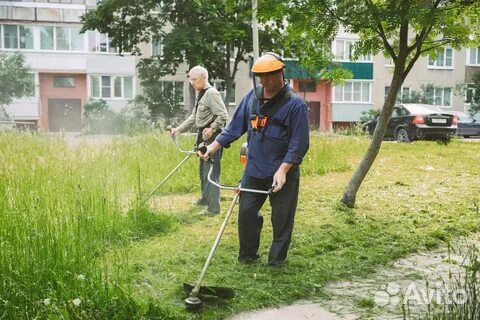 Покос Спил Планировка Благоустройство участков