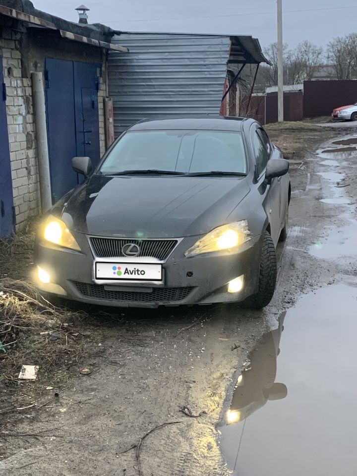 Lexus IS: фото владельца