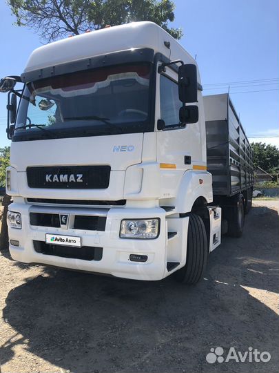 КАМАЗ 5490 NEO, 2019