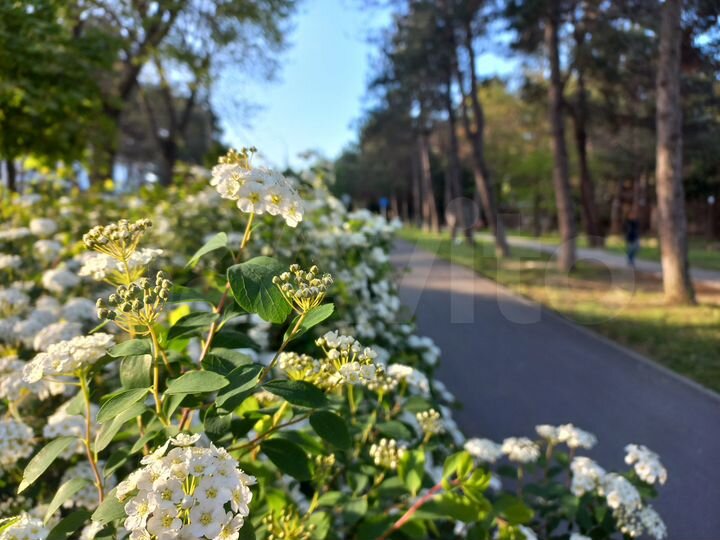 Квартира-студия, 27 м², 14/16 эт.