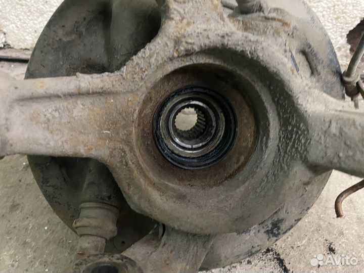 Кулак задний левый