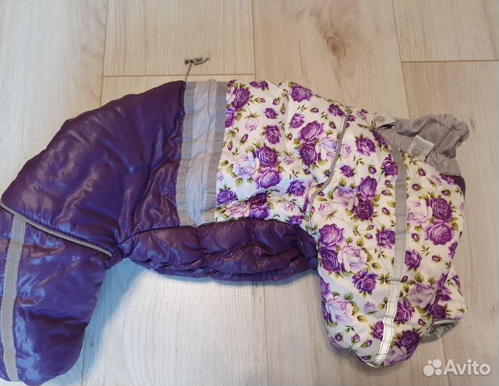 Костюм для маленькой-средней собачки