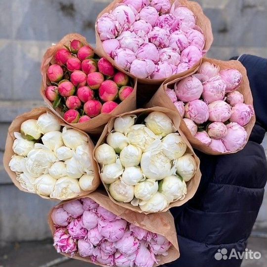 Пионы букет