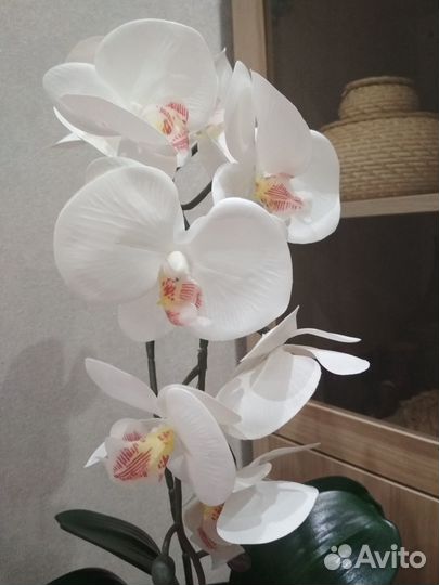 Орхидея фаленопсис искусственная