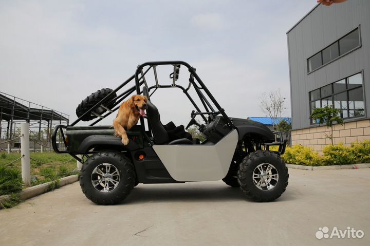 Электробагги SE-Terra 2-х местный 2wd (72v 280Ah)