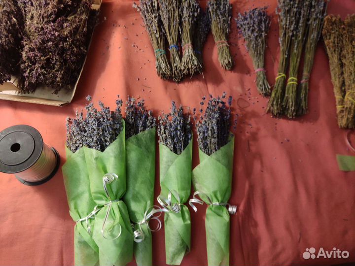 Лаванда Крымская, букетик