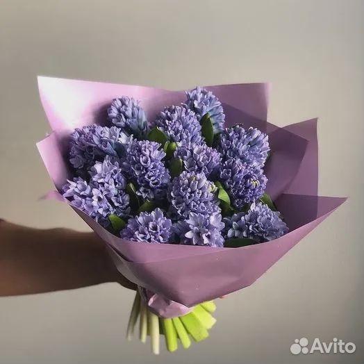 Букет из 13 Гиацинтов в матовой бумаге