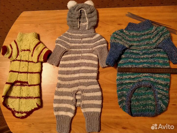 Одежда для животных