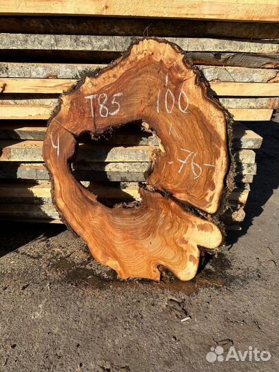 Спил карагач