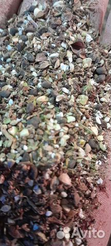 Гречневые отходы,мучка кормавая