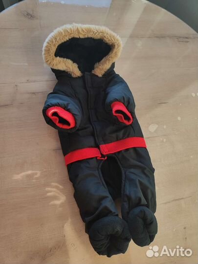 Одежда для собак