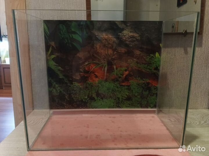 Аквариумные креветки, аквариум, фильтры