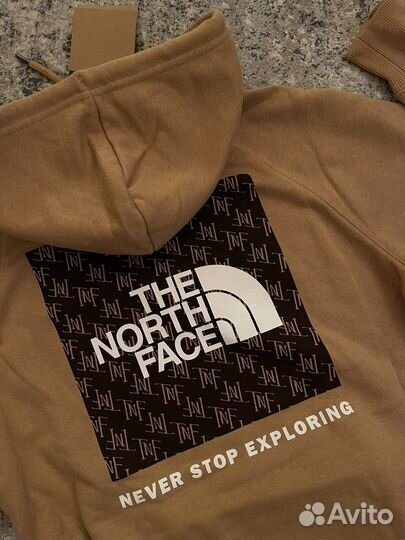 Худи The North Face