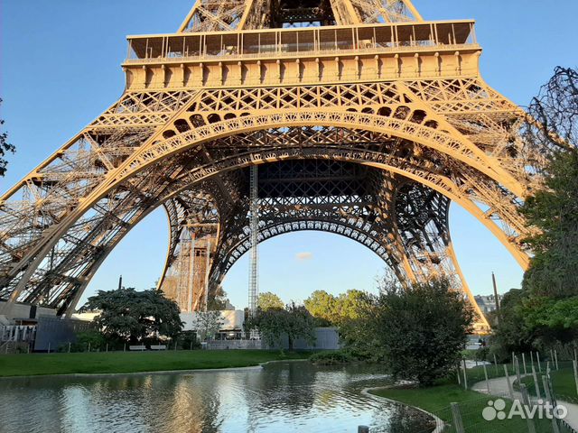 Уроки французского языка по скайпу для школьников