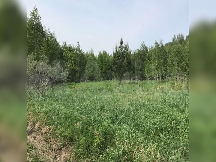 Участок 9,8 сот. (ИЖС)