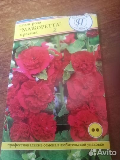 Шток-роза (мальва)