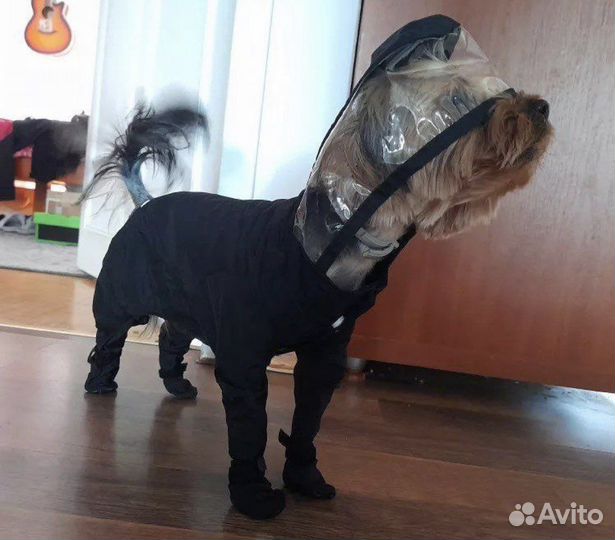 Дождевик для собаки