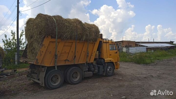 Сено в тюках, рулонах