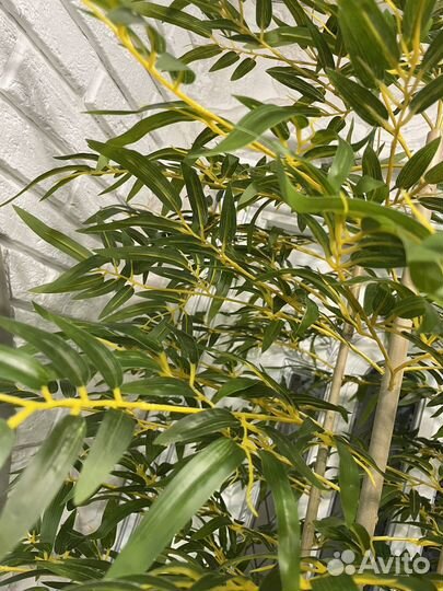 Дерево Бамбук искусственый