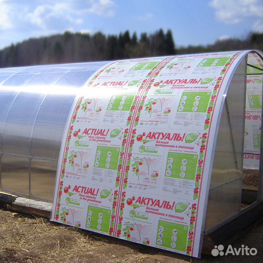 Сотовый поликарбонат 4мм (для теплиц)