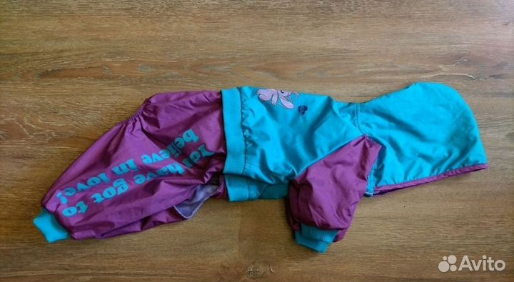 Одежда для собак