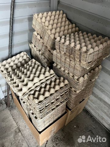 Яичные ячейки