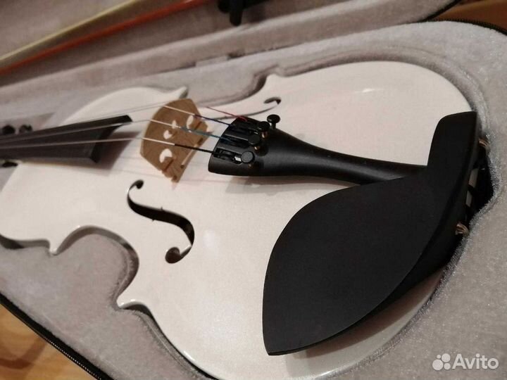 Скрипка 4/4 с кейсом