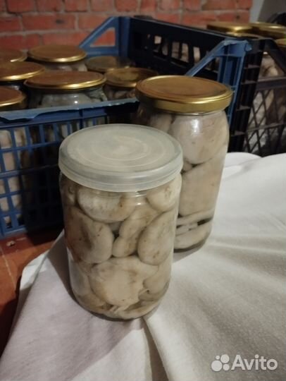 Грибы грузди соленые